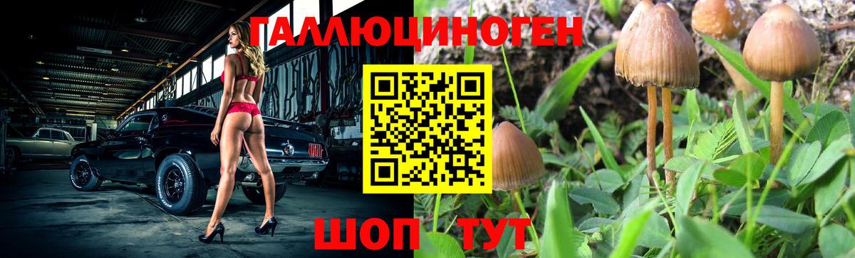 Красный Сулин  Галлюциногенные грибы ЛСД  Псилоцибиновые грибы Psilocybe  Вход с VPN 